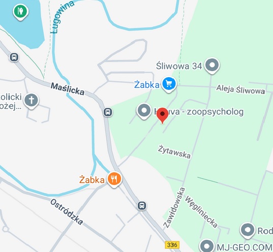 Mapka okolic
